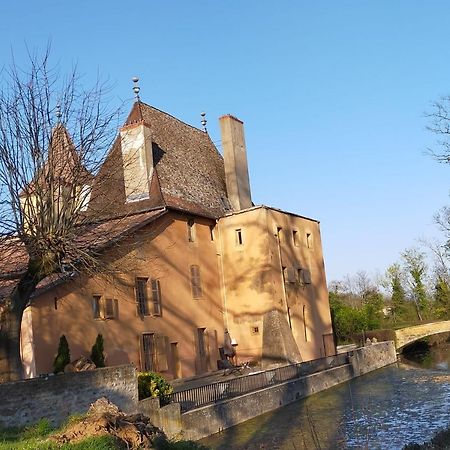 Chateau De La Venerie Denicé Zewnętrze zdjęcie