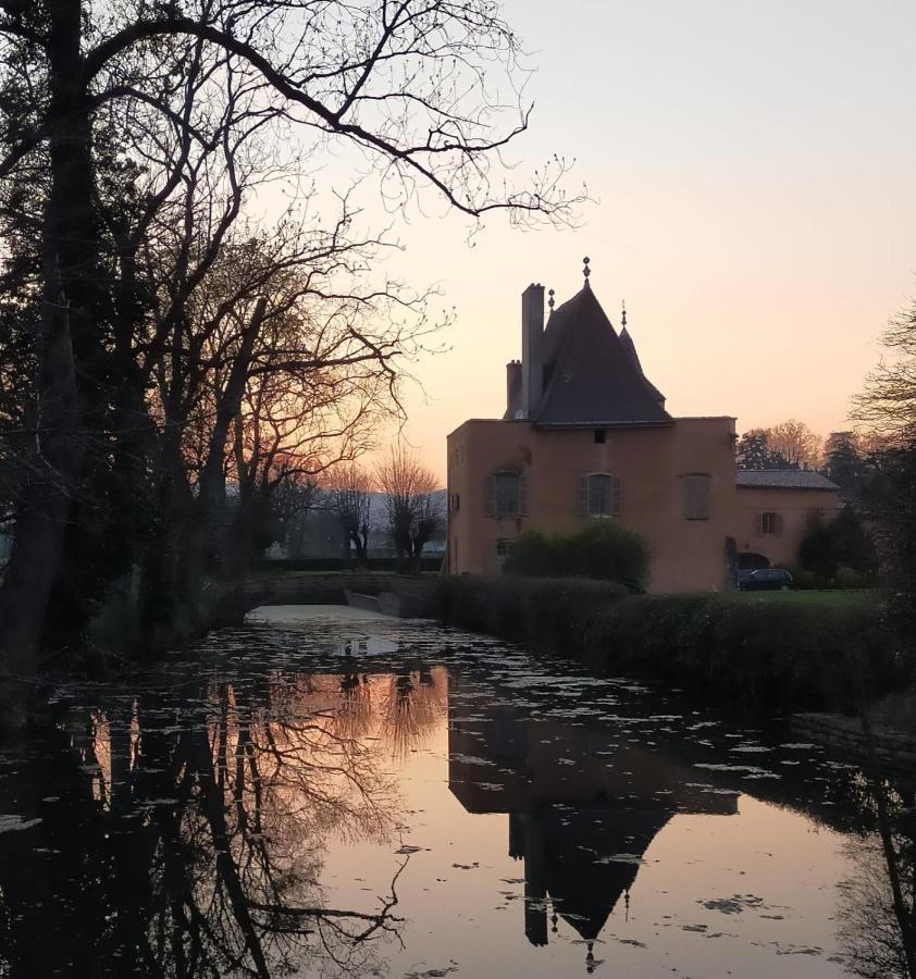 Chateau De La Venerie Denicé Zewnętrze zdjęcie