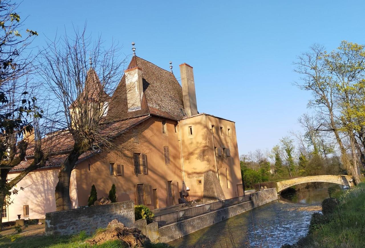 Chateau De La Venerie Denicé Zewnętrze zdjęcie