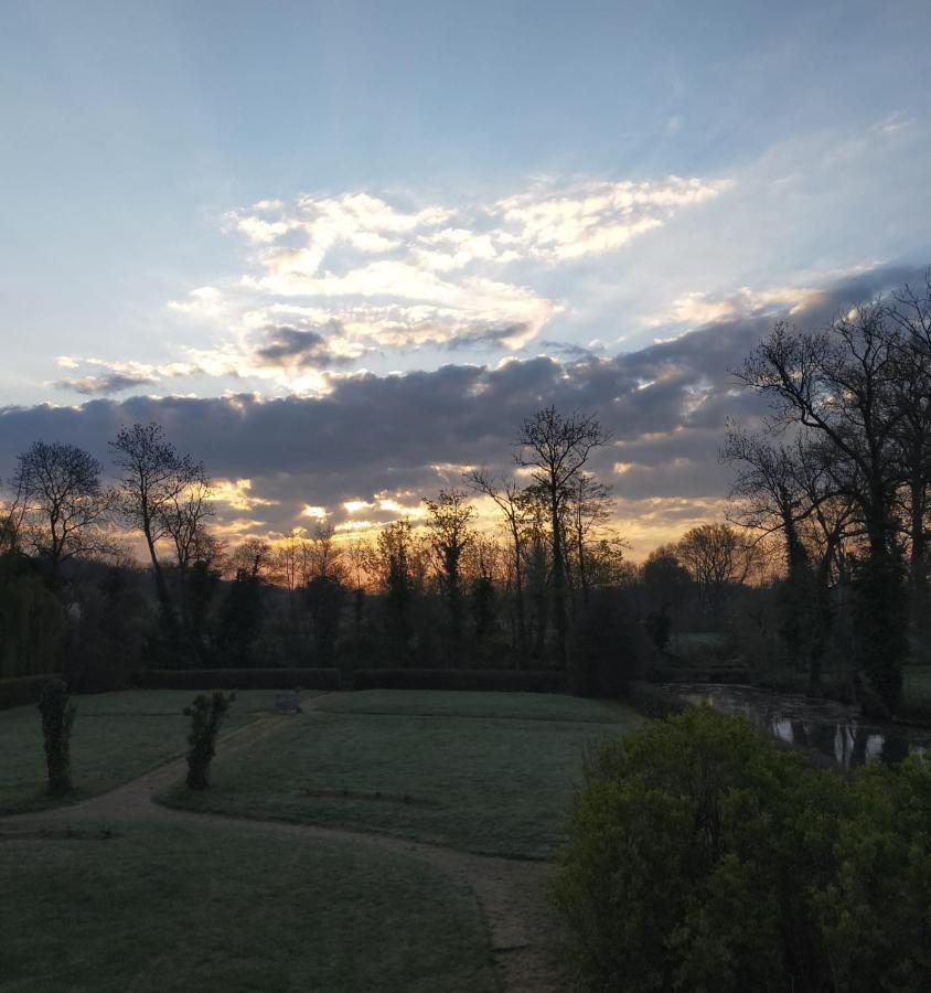 Chateau De La Venerie Denicé Zewnętrze zdjęcie