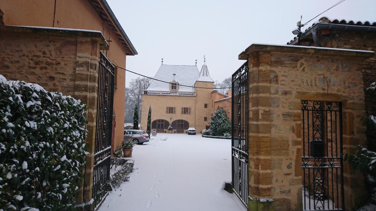 Chateau De La Venerie Denicé Zewnętrze zdjęcie