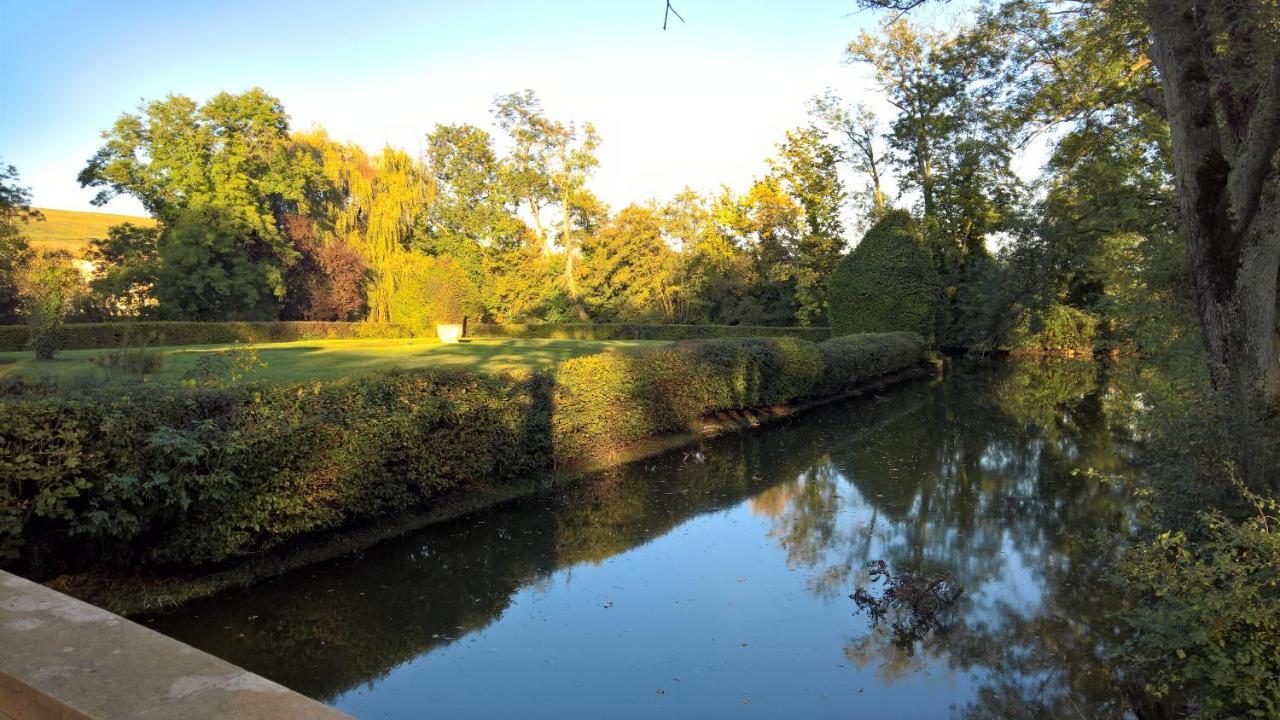 Chateau De La Venerie Denicé Zewnętrze zdjęcie