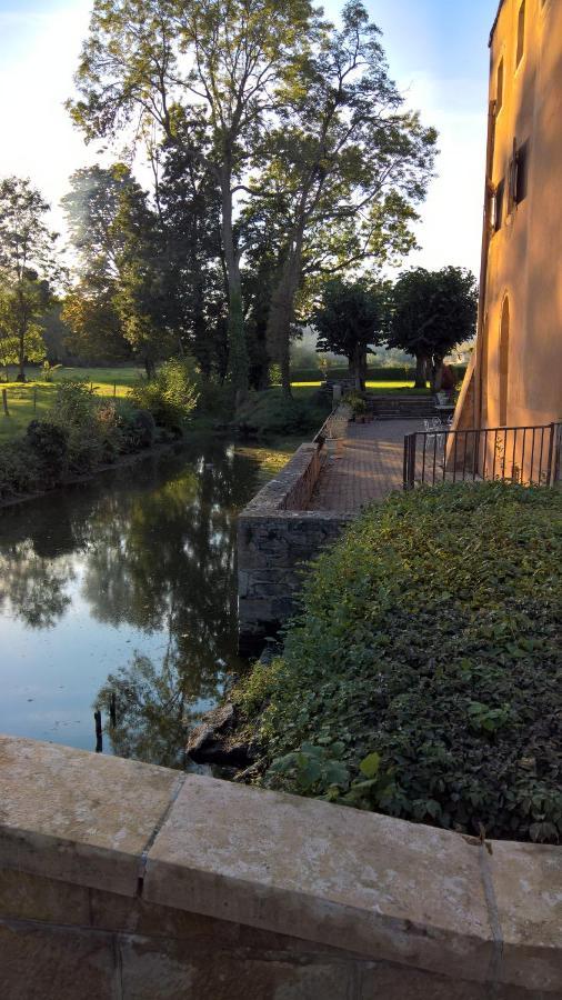 Chateau De La Venerie Denicé Zewnętrze zdjęcie