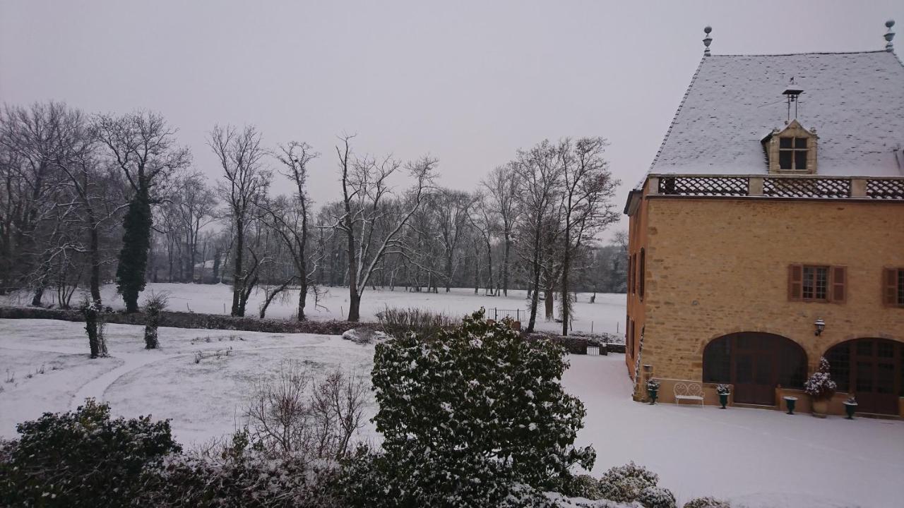 Chateau De La Venerie Denicé Zewnętrze zdjęcie